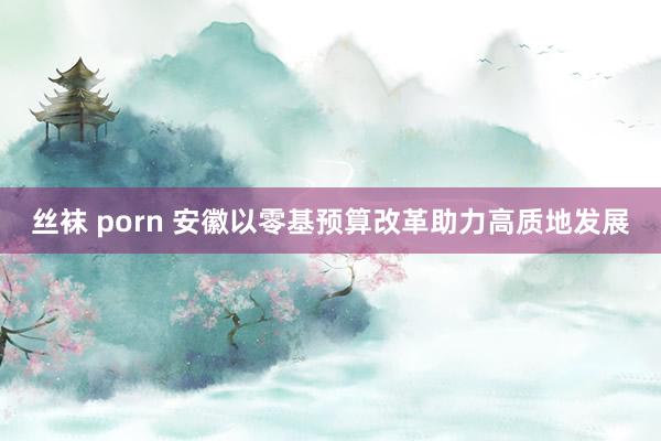 丝袜 porn 安徽以零基预算改革助力高质地发展