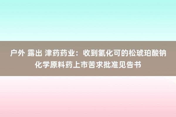 户外 露出 津药药业：收到氢化可的松琥珀酸钠化学原料药上市苦求批准见告书