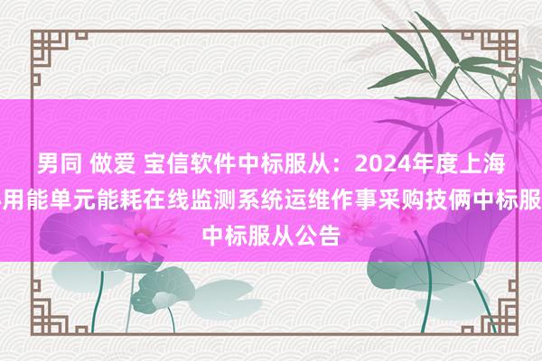 男同 做爱 宝信软件中标服从：2024年度上海市重心用能单元能耗在线监测系统运维作事采购技俩中标服从公告