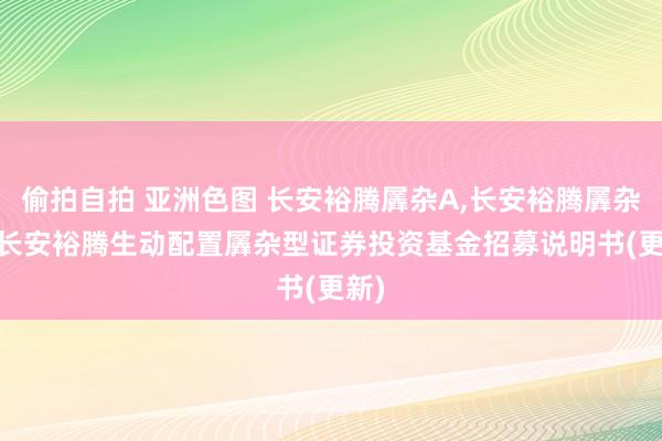偷拍自拍 亚洲色图 长安裕腾羼杂A,长安裕腾羼杂C: 长安裕腾生动配置羼杂型证券投资基金招募说明书(更新)
