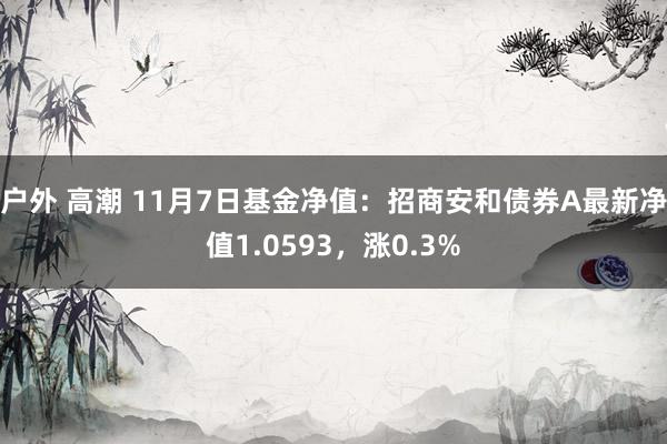 户外 高潮 11月7日基金净值：招商安和债券A最新净值1.0593，涨0.3%