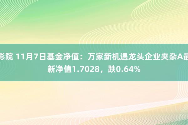 影院 11月7日基金净值：万家新机遇龙头企业夹杂A最新净值1.7028，跌0.64%