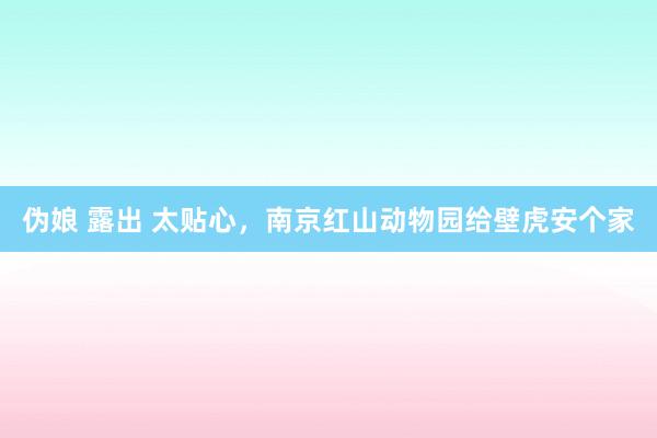 伪娘 露出 太贴心，南京红山动物园给壁虎安个家
