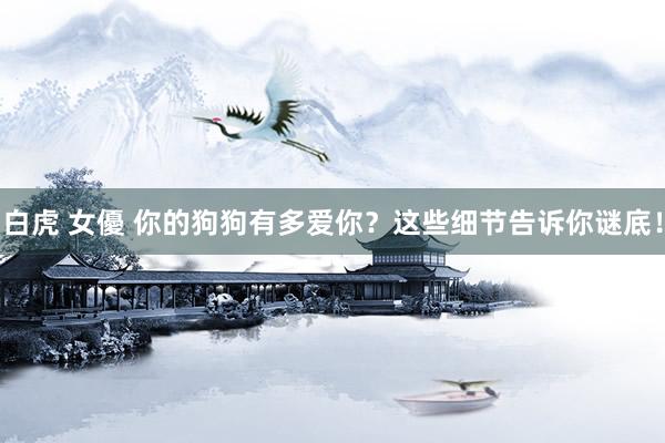 白虎 女優 你的狗狗有多爱你？这些细节告诉你谜底！