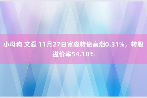 小母狗 文爱 11月27日富淼转债高潮0.31%，转股溢价率54.18%