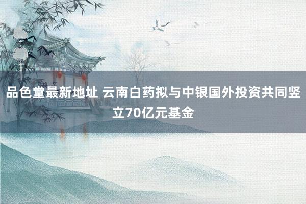 品色堂最新地址 云南白药拟与中银国外投资共同竖立70亿元基金