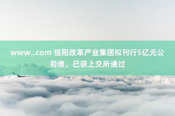 www..com 信阳改革产业集团拟刊行5亿元公司债，已获上交所通过