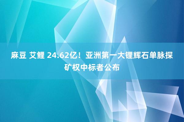麻豆 艾鲤 24.62亿！亚洲第一大锂辉石单脉探矿权中标者公布