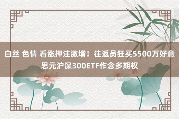 白丝 色情 看涨押注激增！往返员狂买5500万好意思元沪深300ETF作念多期权