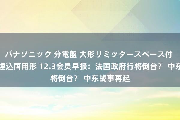 パナソニック 分電盤 大形リミッタースペース付 露出・半埋込両用形 12.3会员早报：法国政府行将倒台？ 中东战事再起