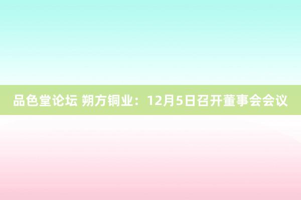 品色堂论坛 朔方铜业：12月5日召开董事会会议