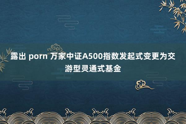 露出 porn 万家中证A500指数发起式变更为交游型灵通式基金