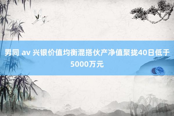 男同 av 兴银价值均衡混搭伙产净值聚拢40日低于5000万元