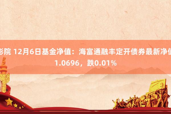 影院 12月6日基金净值：海富通融丰定开债券最新净值1.0696，跌0.01%