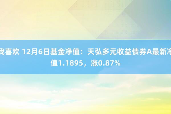 我喜欢 12月6日基金净值：天弘多元收益债券A最新净值1.1895，涨0.87%