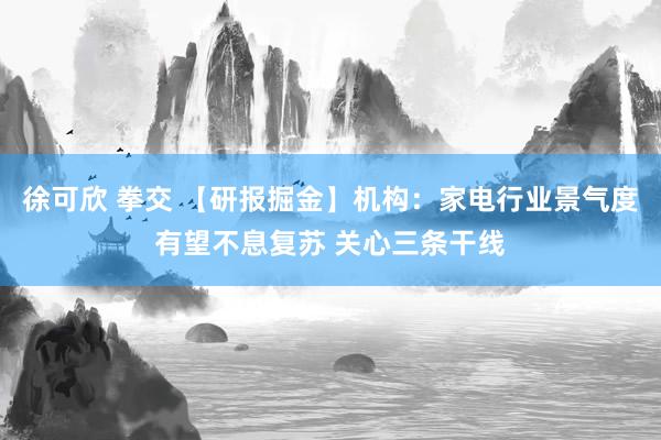 徐可欣 拳交 【研报掘金】机构：家电行业景气度有望不息复苏 关心三条干线