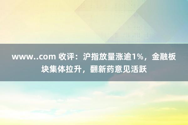 www..com 收评：沪指放量涨逾1%，金融板块集体拉升，翻新药意见活跃