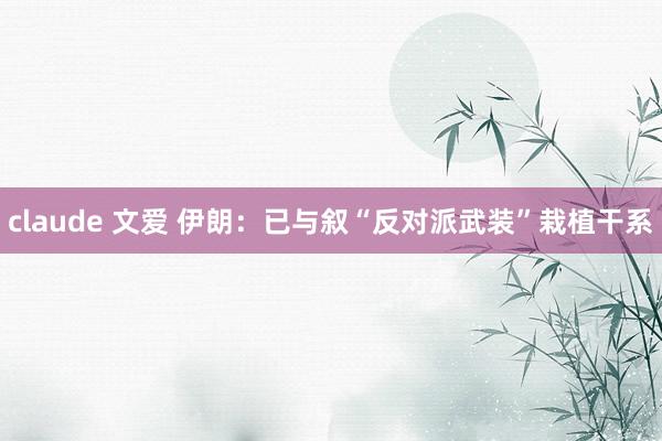 claude 文爱 伊朗：已与叙“反对派武装”栽植干系