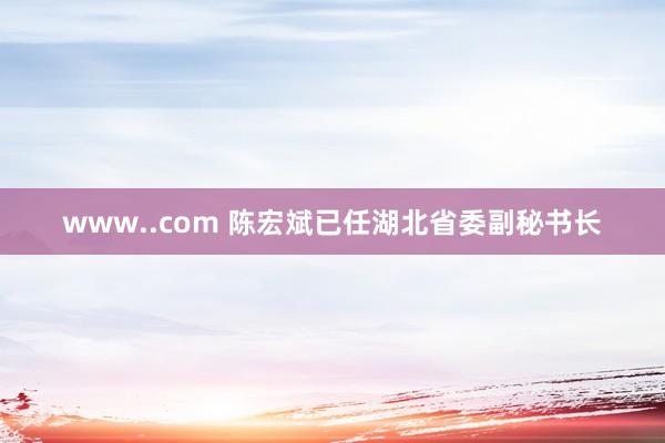 www..com 陈宏斌已任湖北省委副秘书长