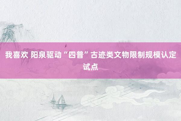 我喜欢 阳泉驱动“四普”古迹类文物限制规模认定试点