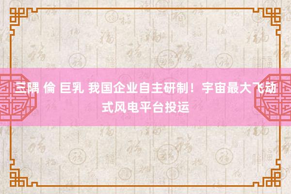 三隅 倫 巨乳 我国企业自主研制！宇宙最大飞动式风电平台投运