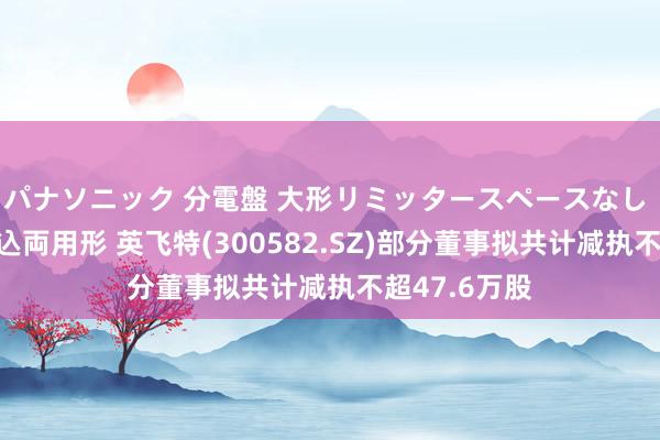 パナソニック 分電盤 大形リミッタースペースなし 露出・半埋込両用形 英飞特(300582.SZ)部分董事拟共计减执不超47.6万股