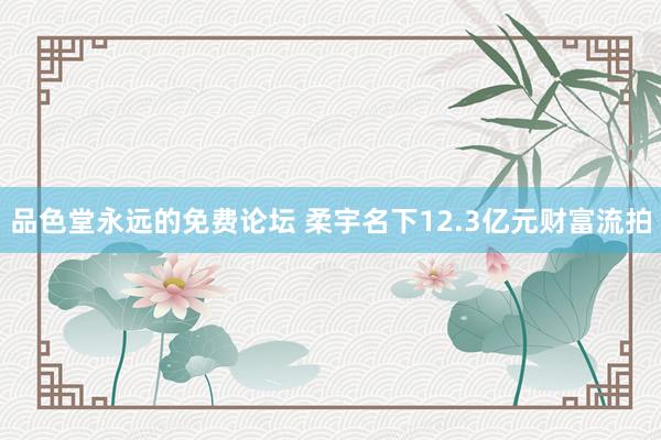 品色堂永远的免费论坛 柔宇名下12.3亿元财富流拍