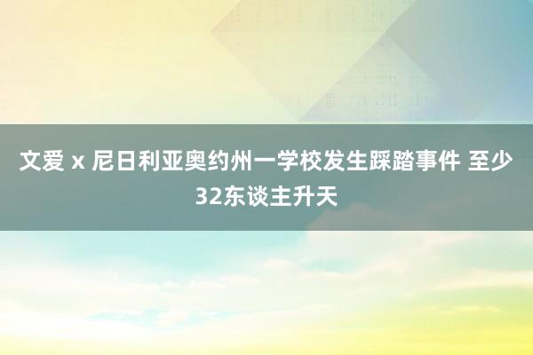 文爱 x 尼日利亚奥约州一学校发生踩踏事件 至少32东谈主升天