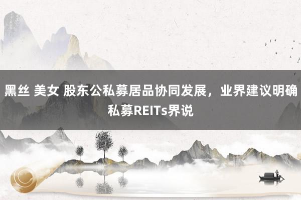 黑丝 美女 股东公私募居品协同发展，业界建议明确私募REITs界说