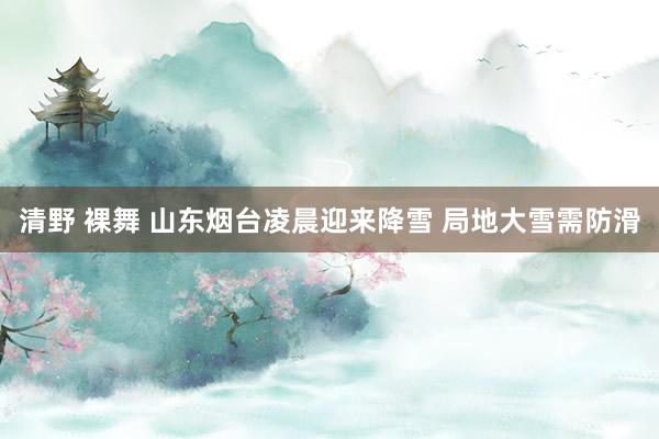 清野 裸舞 山东烟台凌晨迎来降雪 局地大雪需防滑