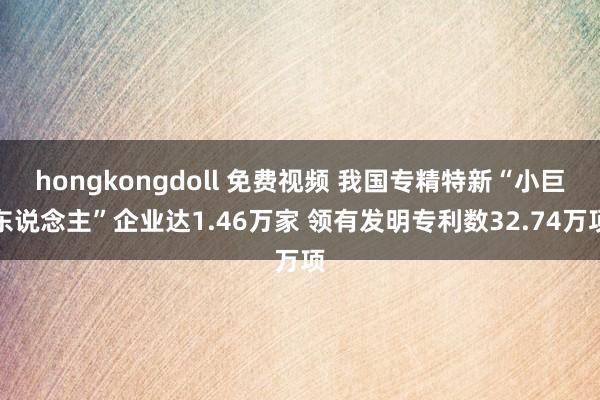 hongkongdoll 免费视频 我国专精特新“小巨东说念主”企业达1.46万家 领有发明专利数32.74万项