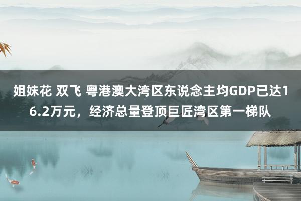 姐妹花 双飞 粤港澳大湾区东说念主均GDP已达16.2万元，经济总量登顶巨匠湾区第一梯队