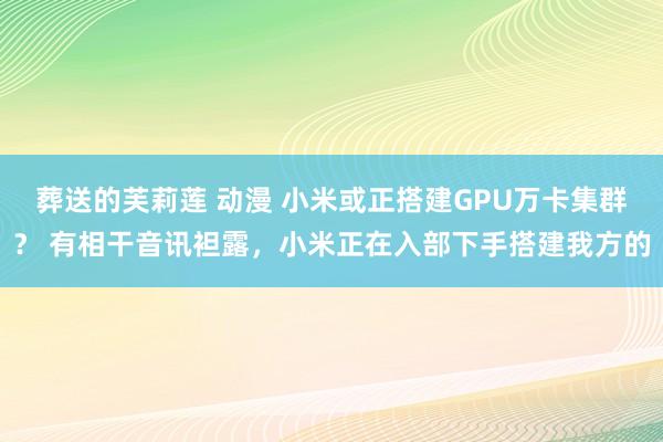 葬送的芙莉莲 动漫 小米或正搭建GPU万卡集群？ 有相干音讯袒露，小米正在入部下手搭建我方的