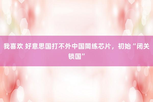 我喜欢 好意思国打不外中国闇练芯片，初始“闭关锁国”