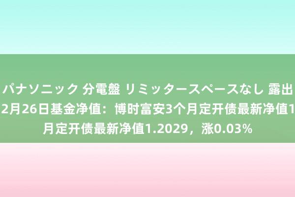 パナソニック 分電盤 リミッタースペースなし 露出・半埋込両用形 12月26日基金净值：博时富安3个月定开债最新净值1.2029，涨0.03%