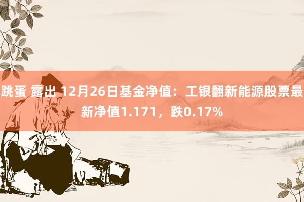 跳蛋 露出 12月26日基金净值：工银翻新能源股票最新净值1.171，跌0.17%