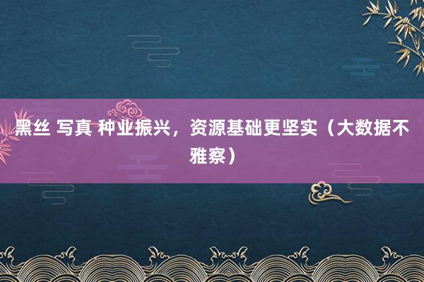 黑丝 写真 种业振兴，资源基础更坚实（大数据不雅察）
