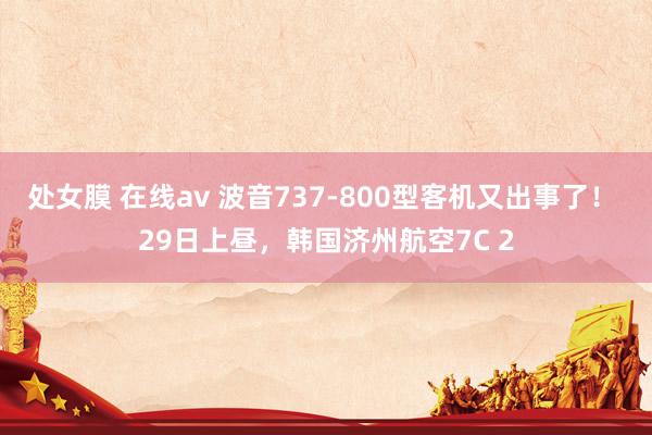 处女膜 在线av 波音737-800型客机又出事了！ 29日上昼，韩国济州航空7C 2