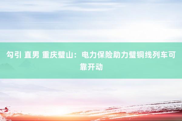 勾引 直男 重庆璧山：电力保险助力璧铜线列车可靠开动