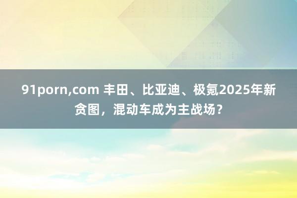 91porn，com 丰田、比亚迪、极氪2025年新贪图，混动车成为主战场？