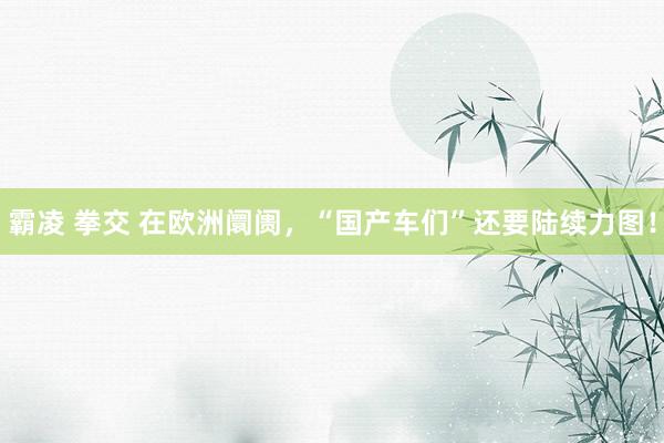 霸凌 拳交 在欧洲阛阓，“国产车们”还要陆续力图！