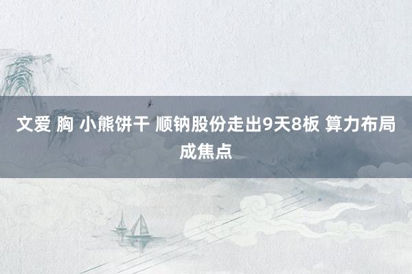 文爱 胸 小熊饼干 顺钠股份走出9天8板 算力布局成焦点