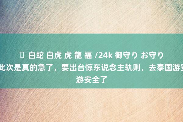 ✨白蛇 白虎 虎 龍 福 /24k 御守り お守り 泰国此次是真的急了，要出台惊东说念主轨则，去泰国游安全了