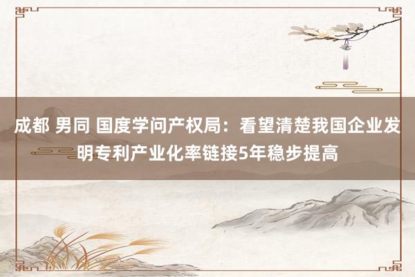 成都 男同 国度学问产权局：看望清楚我国企业发明专利产业化率链接5年稳步提高