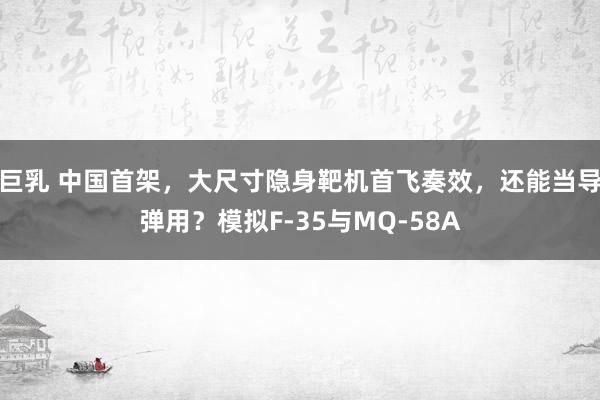 巨乳 中国首架，大尺寸隐身靶机首飞奏效，还能当导弹用？模拟F-35与MQ-58A