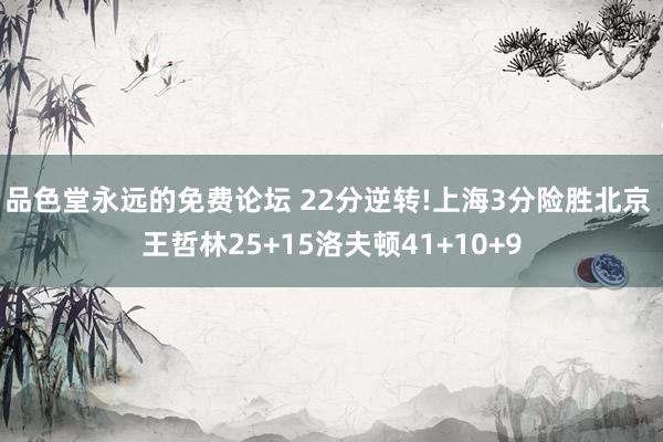 品色堂永远的免费论坛 22分逆转!上海3分险胜北京 王哲林25+15洛夫顿41+10+9