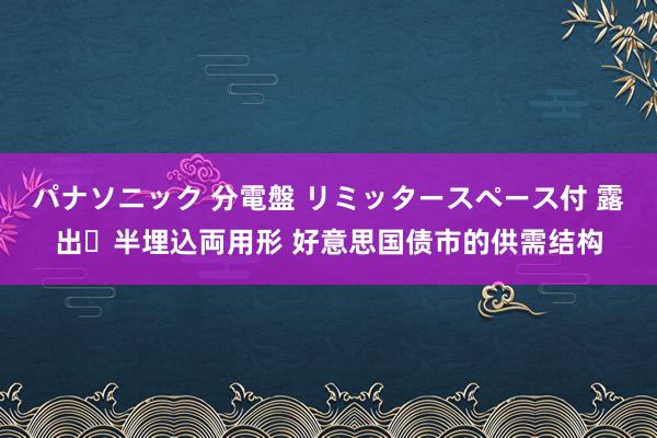 パナソニック 分電盤 リミッタースペース付 露出・半埋込両用形 好意思国债市的供需结构