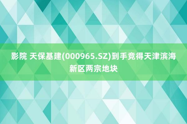 影院 天保基建(000965.SZ)到手竞得天津滨海新区两宗地块